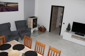 Vila Marianna, Destne V Orlickych Horach